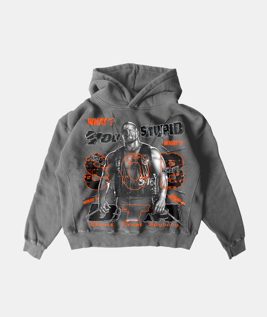 DTA Hoodie (vintage)